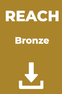 REACH - Bronze